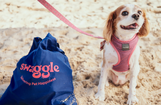 Swaggle: How to Boost Bundles on Shopify with a Cohesive Visual Experience